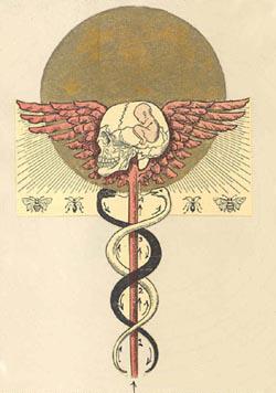 Caduce